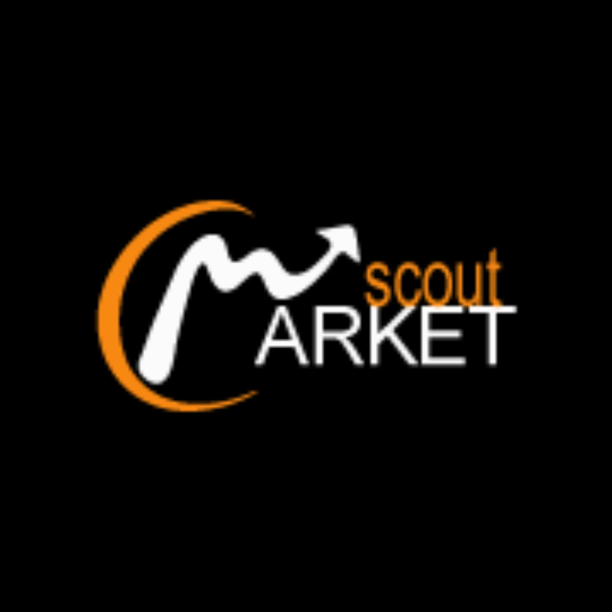 Market Scout 